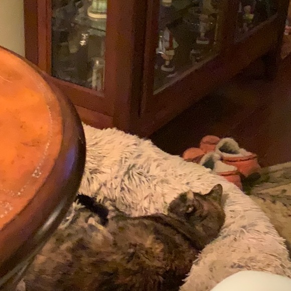 Meet your Posher, Janice - Picture 1 of 1